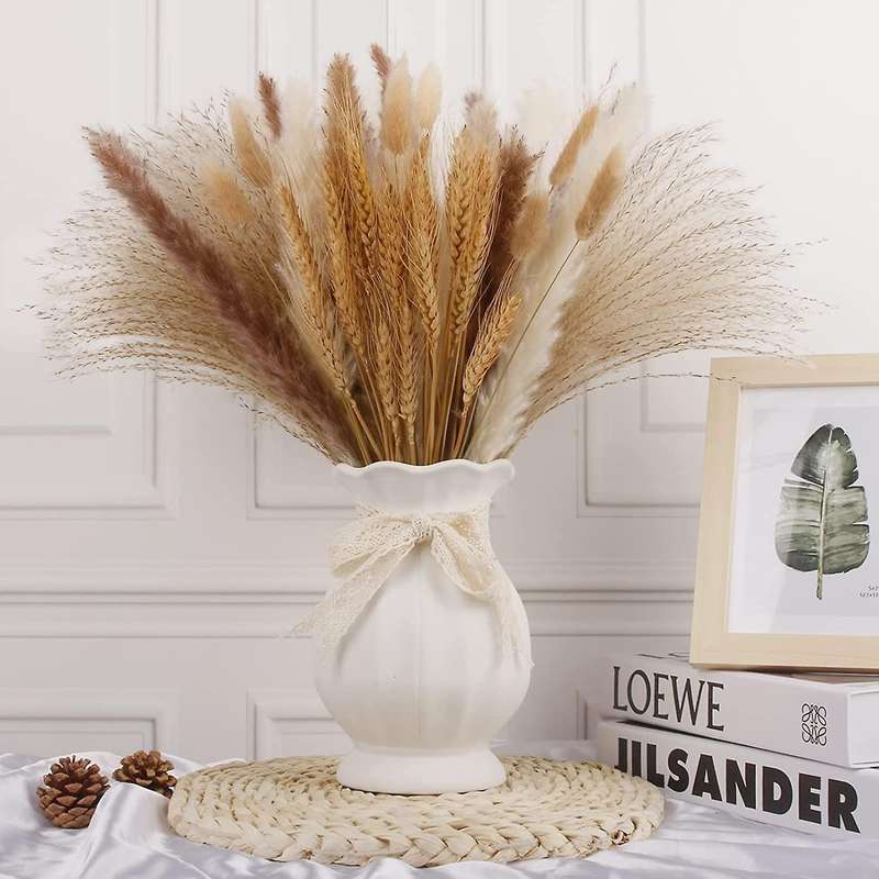 Pampas Grass Dried Lagurus Dried Reed Grass Dried Flower Decor