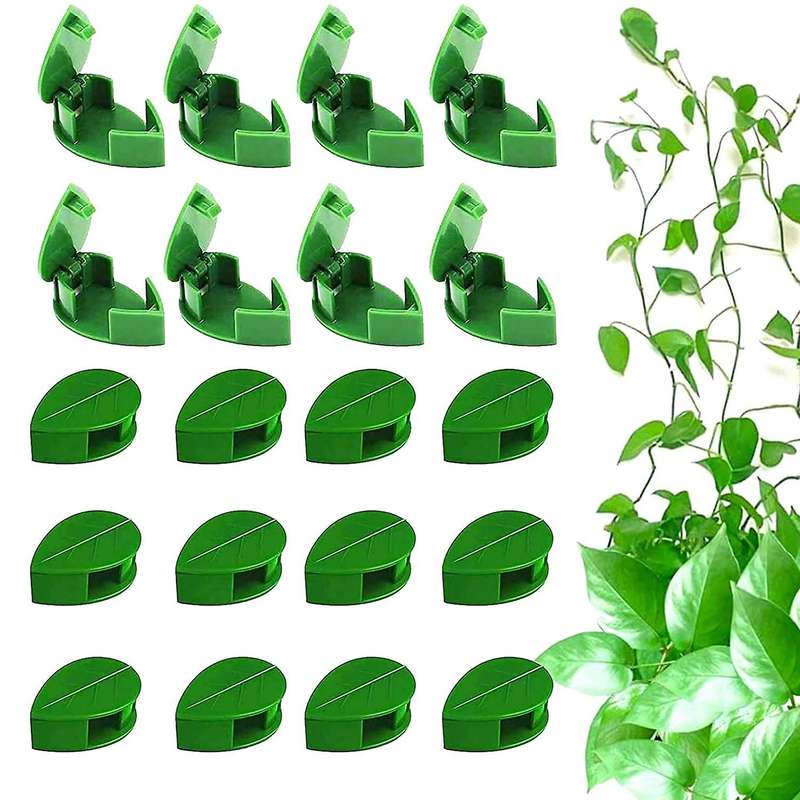 100 Pcs Plant Climbing Wall Fixture Clips Wall Fixer Wire Fixing Snap