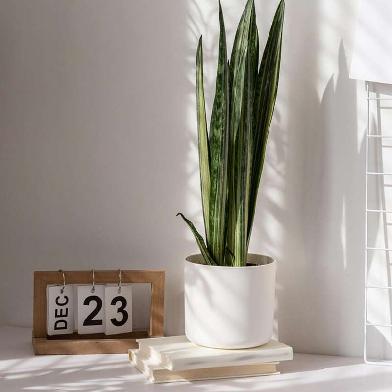 3 Pcs Plastic Planter Nordic Style Mini Flower Seedlings Nursery Pot