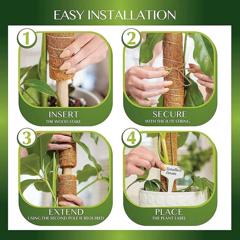 2 Pack Moss Poles for Indoor Plant Support,potted Plants Grow Upwards