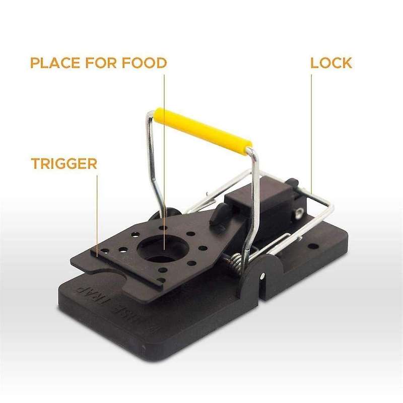 Mouse Trap, Reusable and Easy to Use Snap Traps, Pack Of 6