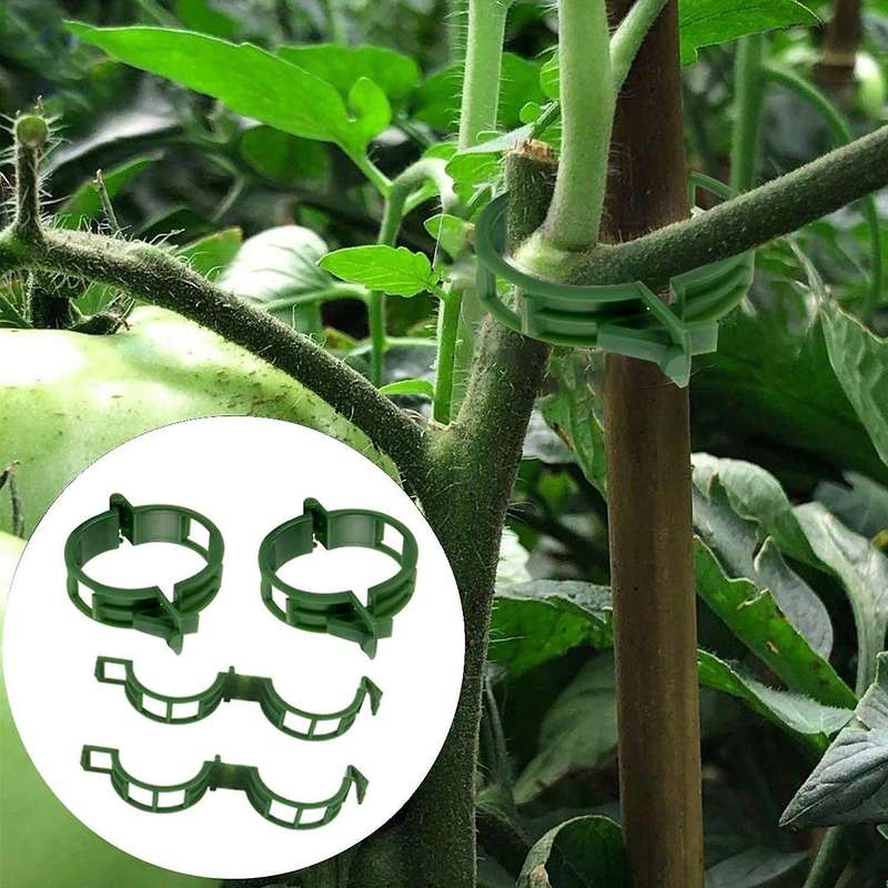 300pcs Plant Clips Supports Gardening Supplies for Vegetable Tomato