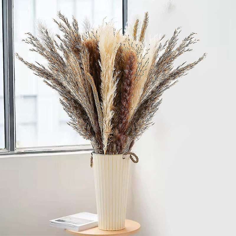 75 Pcs Dried Pampas Grass, Dried Bunny Tail Grass Bouquet
