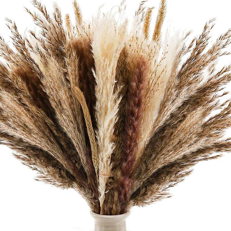 75 Pcs Dried Pampas Grass, Dried Bunny Tail Grass Bouquet