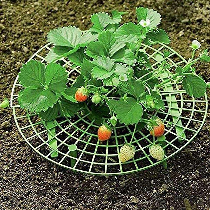 5 Pack Strawberry Growing Racks Strawberry Planting Stand Plant Stand