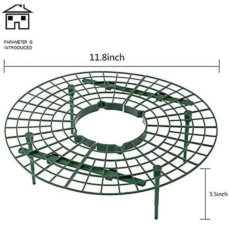 5 Pack Strawberry Growing Racks Strawberry Planting Stand Plant Stand