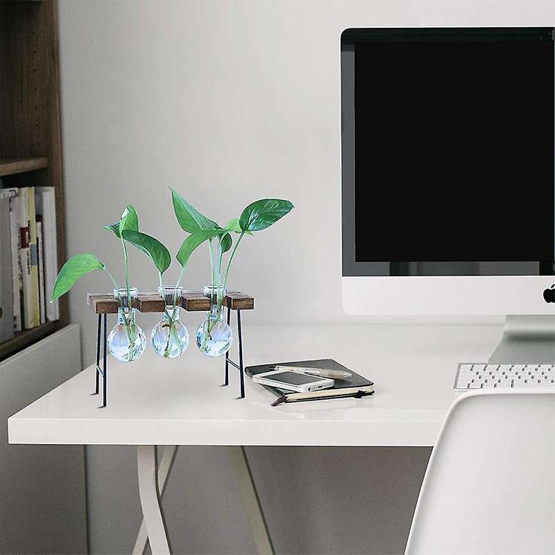 Desktop Plant Terrarium with Wooden Stand 3 Bulb Vases Glass Planter