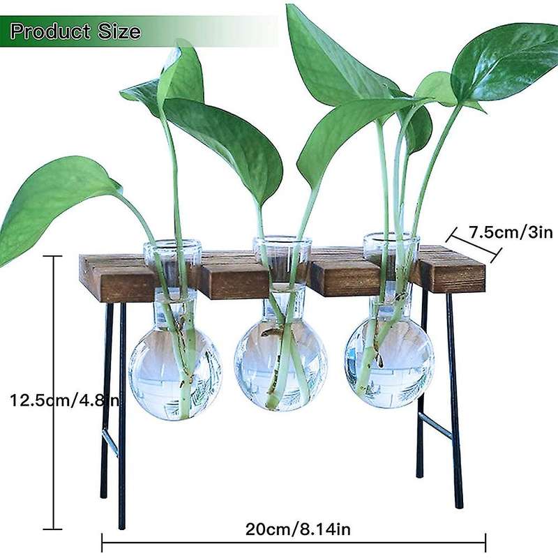 Desktop Plant Terrarium with Wooden Stand 3 Bulb Vases Glass Planter