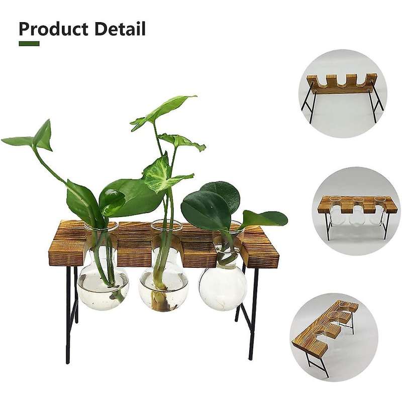 Desktop Plant Terrarium with Wooden Stand 3 Bulb Vases Glass Planter