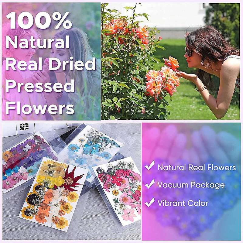 144pcs Natural Dried Pressed Flowers for Resin,for Candle,epoxy Resin