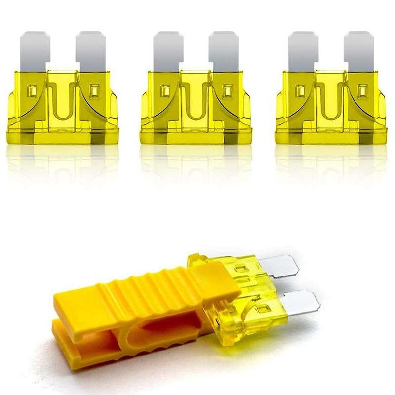 100pcs Mini Anti-theft Car Fuse Plug Fuse Splitter Fuse (2a - 35a)