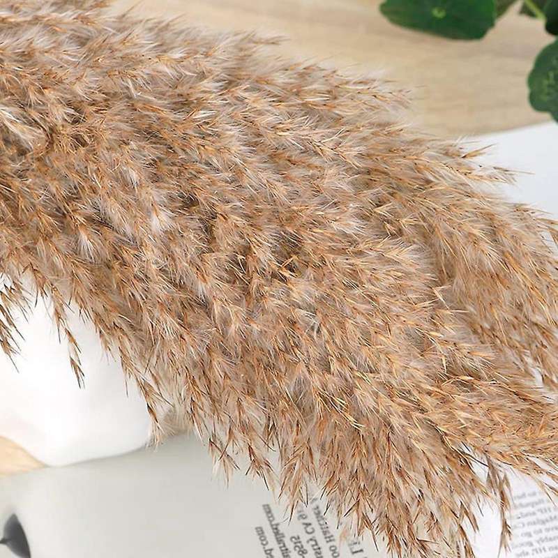 Dried Pampas Grass Decor Dried Plants for Valentines Day Gift Home