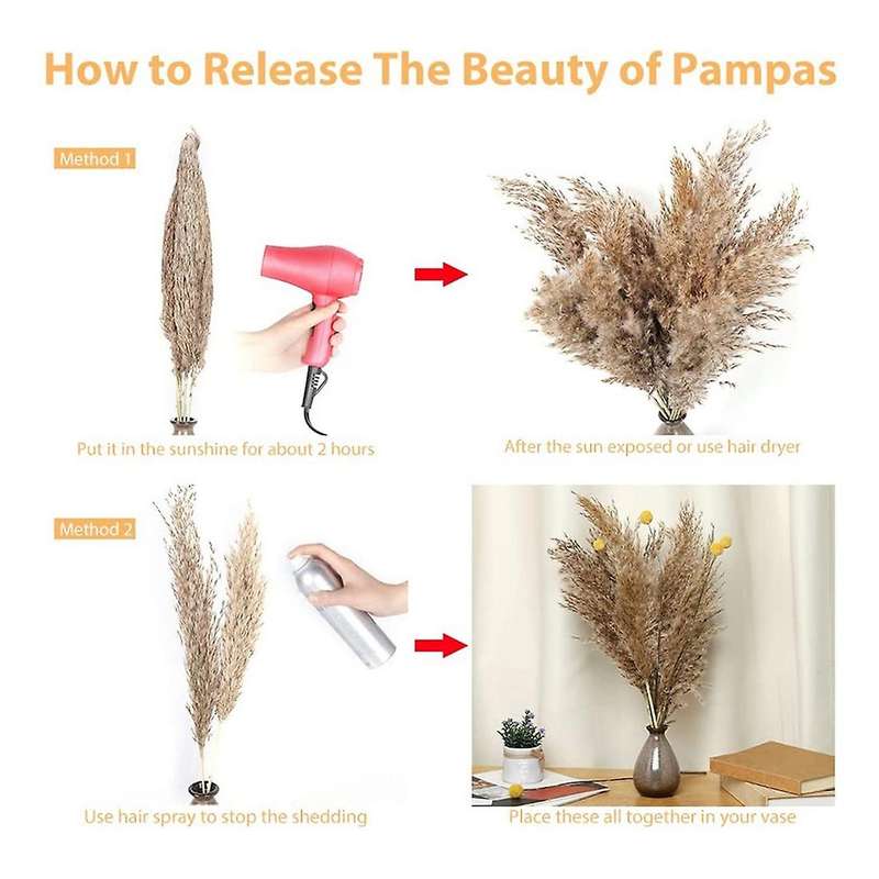 Dried Pampas Grass Decor Dried Plants for Valentines Day Gift Home