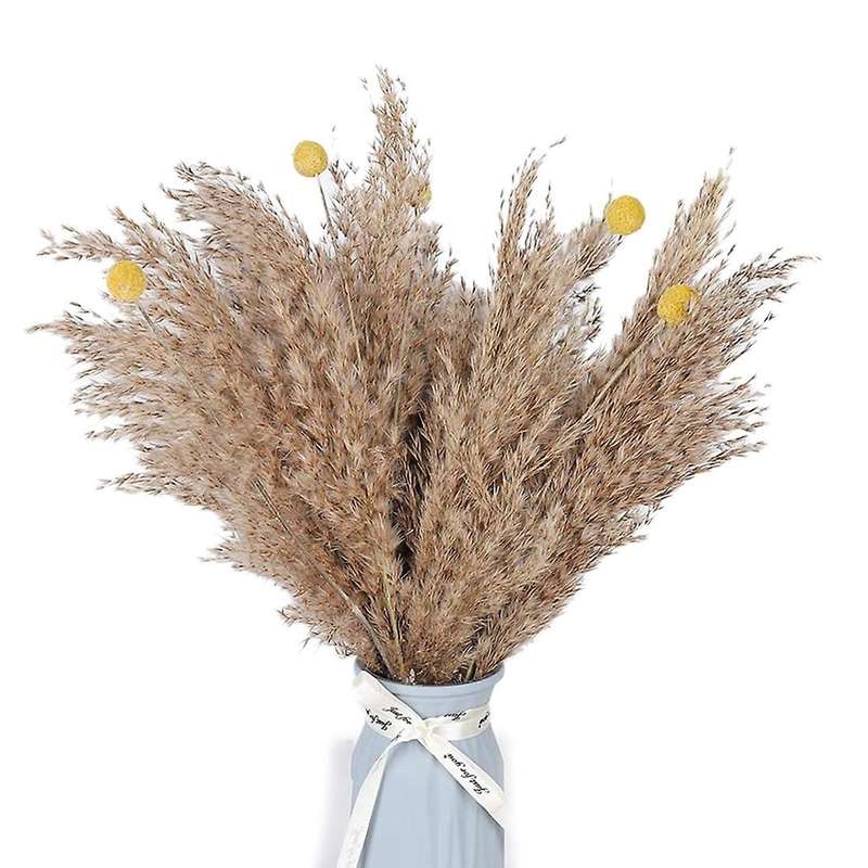 Dried Pampas Grass Decor Dried Plants for Valentines Day Gift Home