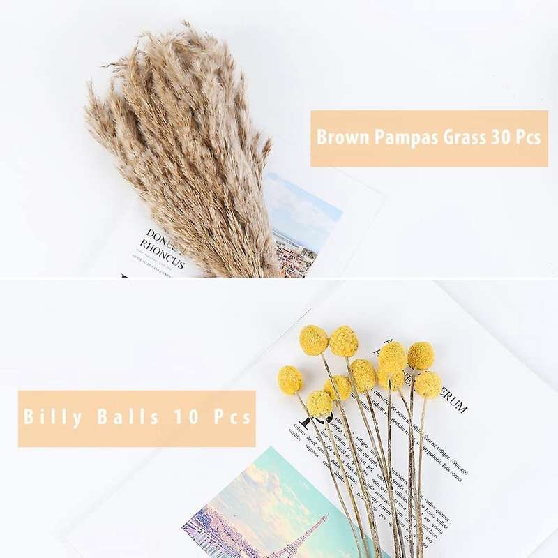 Dried Pampas Grass Decor Dried Plants for Valentines Day Gift Home