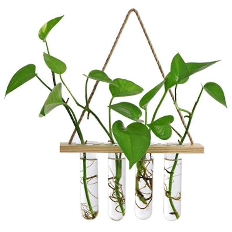 Modern Glass Tube Vase Wooden Frame Flower Pots Stand Desktop Decor-a