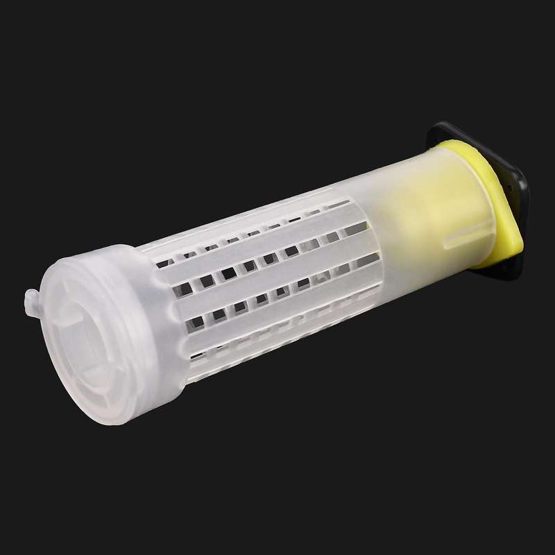 50pcs Bee Queen Cages Plastic Protective Cover Rearing Bees Tools
