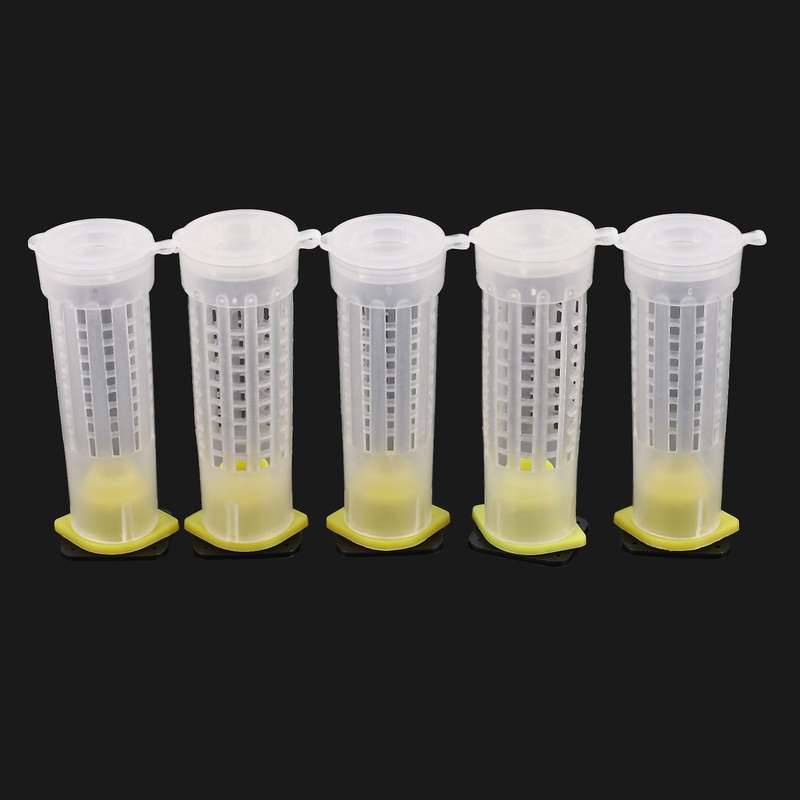 50pcs Bee Queen Cages Plastic Protective Cover Rearing Bees Tools