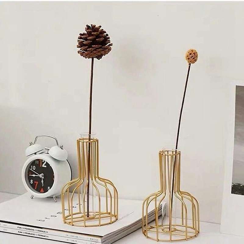 Plant Flower Vase Iron Geometric Glass Flower Vase with Metal Frame