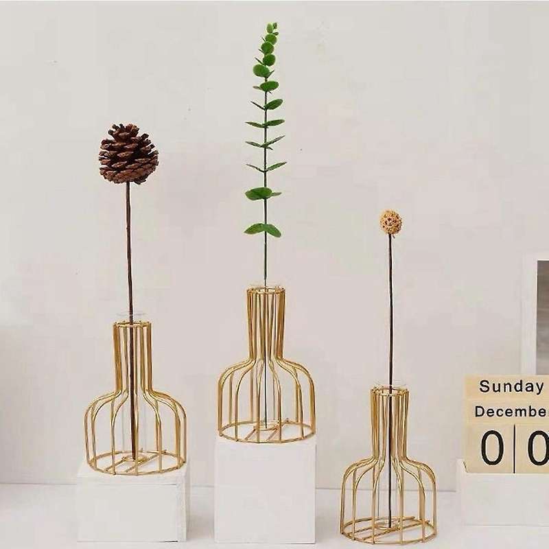 Plant Flower Vase Iron Geometric Glass Flower Vase with Metal Frame