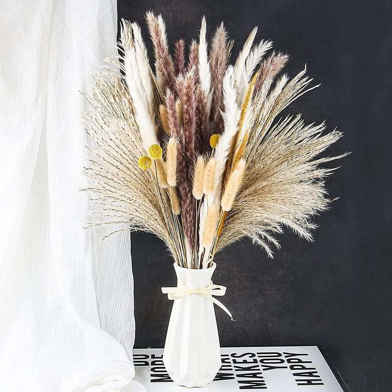Pampas Grass Pompous Grass Included 73 Pcs Natural Pampas Grass
