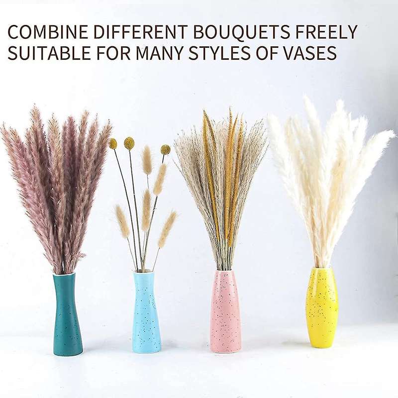 Pampas Grass Pompous Grass Included 73 Pcs Natural Pampas Grass