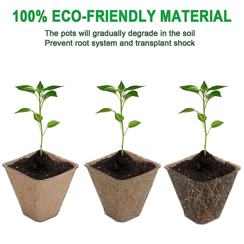 24 Pcs (288 Cells) Germination Seedling Trays Kit for Indoor Outdoor