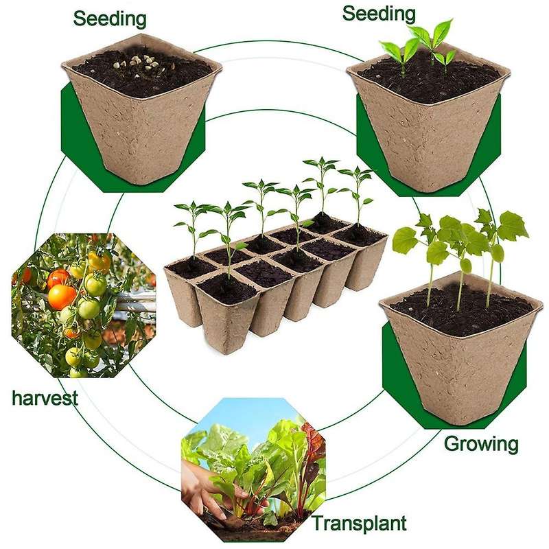 24 Pcs (288 Cells) Germination Seedling Trays Kit for Indoor Outdoor