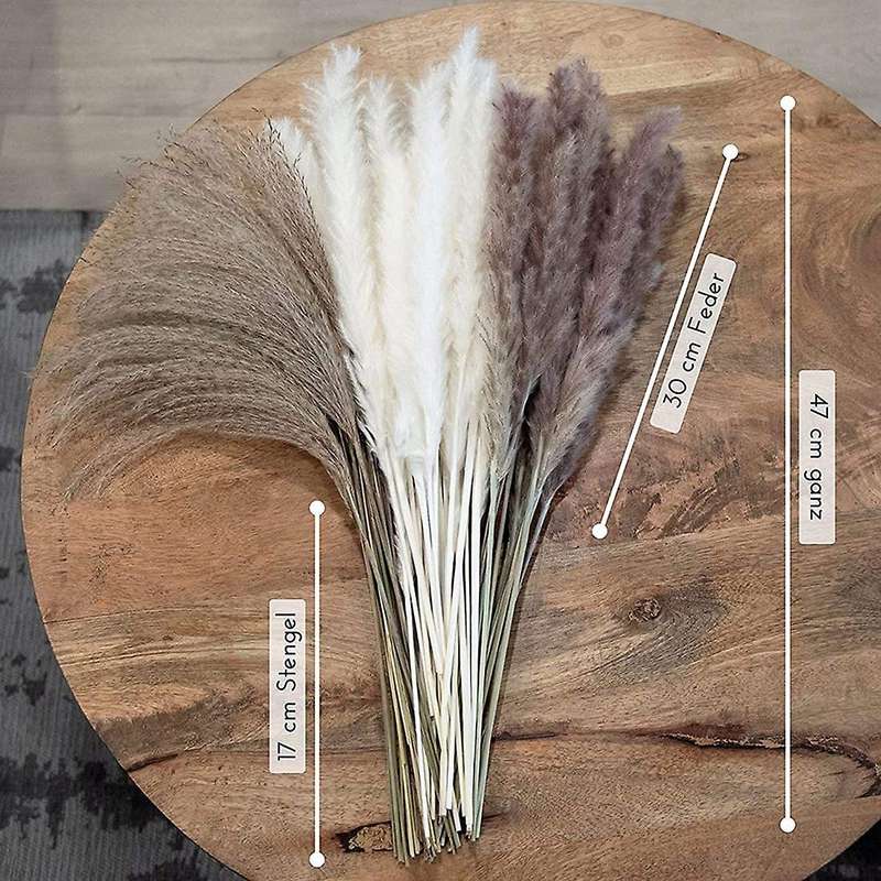 Natural Pampas Grass Dried Flowers Decor 65 Pieces 45 Cm Fluffy