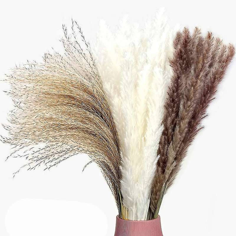 Natural Pampas Grass Dried Flowers Decor 65 Pieces 45 Cm Fluffy