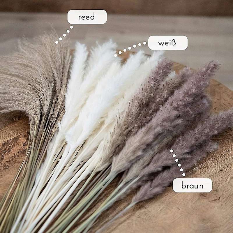 Natural Pampas Grass Dried Flowers Decor 65 Pieces 45 Cm Fluffy