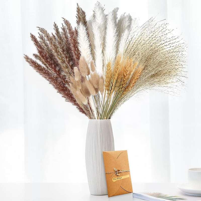 70 Pieces Pampas Grass Dried Pampas Grass Decoration
