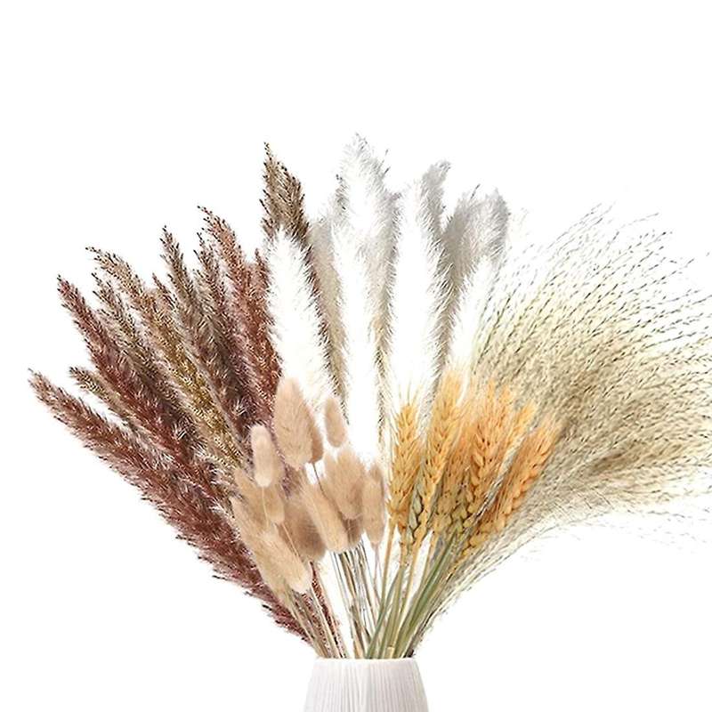 70 Pieces Pampas Grass Dried Pampas Grass Decoration