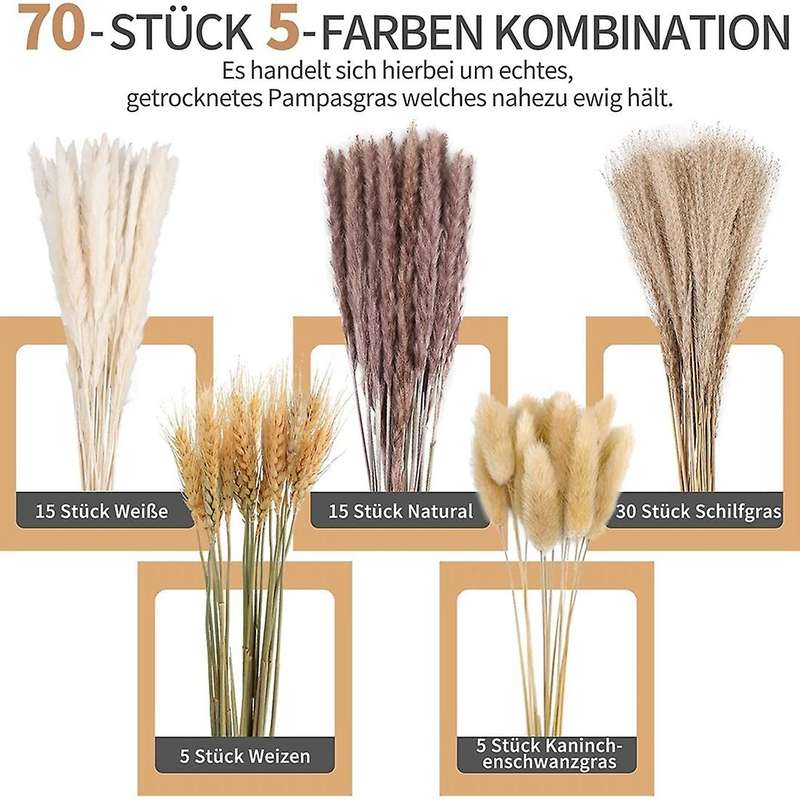 70 Pieces Pampas Grass Dried Pampas Grass Decoration