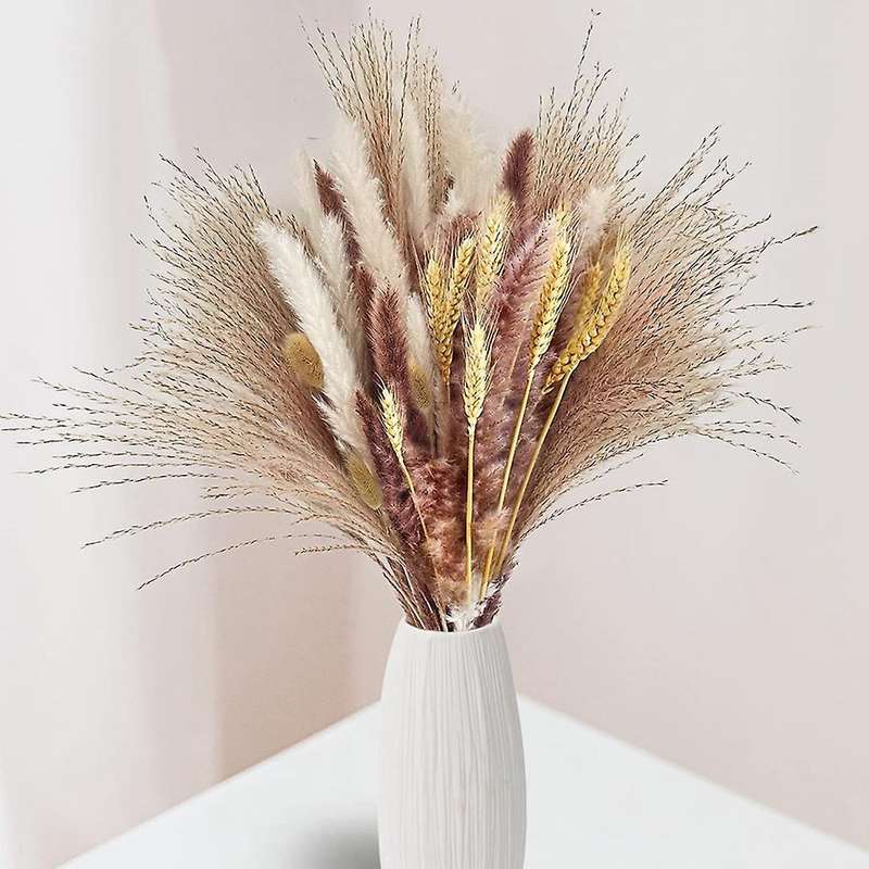 70 Pieces Pampas Grass Dried Pampas Grass Decoration