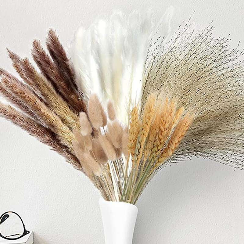 70 Pieces Pampas Grass Dried Pampas Grass Decoration