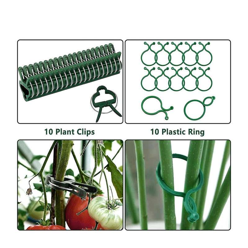 6pack 15.8in Plant Support Stakes,for Amaryllis,orchid,lily, Tomatoes
