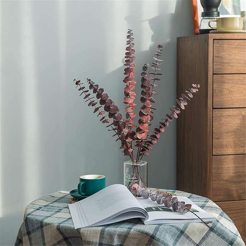 Dried Eucalyptus Bundle,12 Pcs Natural Preserved Eucalyptus Stems