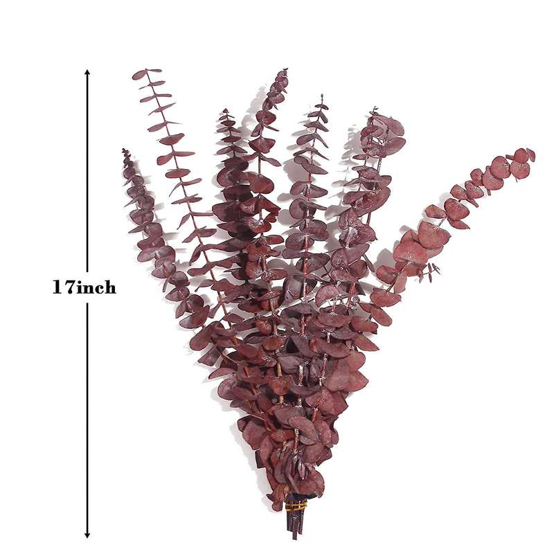 Dried Eucalyptus Bundle,12 Pcs Natural Preserved Eucalyptus Stems