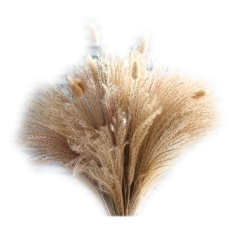 60pcs Pampas Grass - Natural Hay Bouquets for Bohemian Home Decor