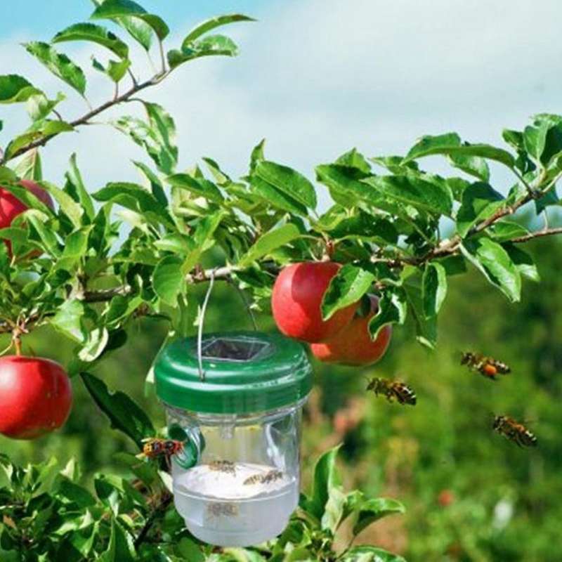 2pcs Wasp Traps Outdoor Hanging Solar-powered Wasp Trap
