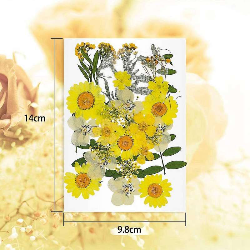 36 Pcs Dried Flowers for Diy Candle Resin Jewelry Art Decor-pink
