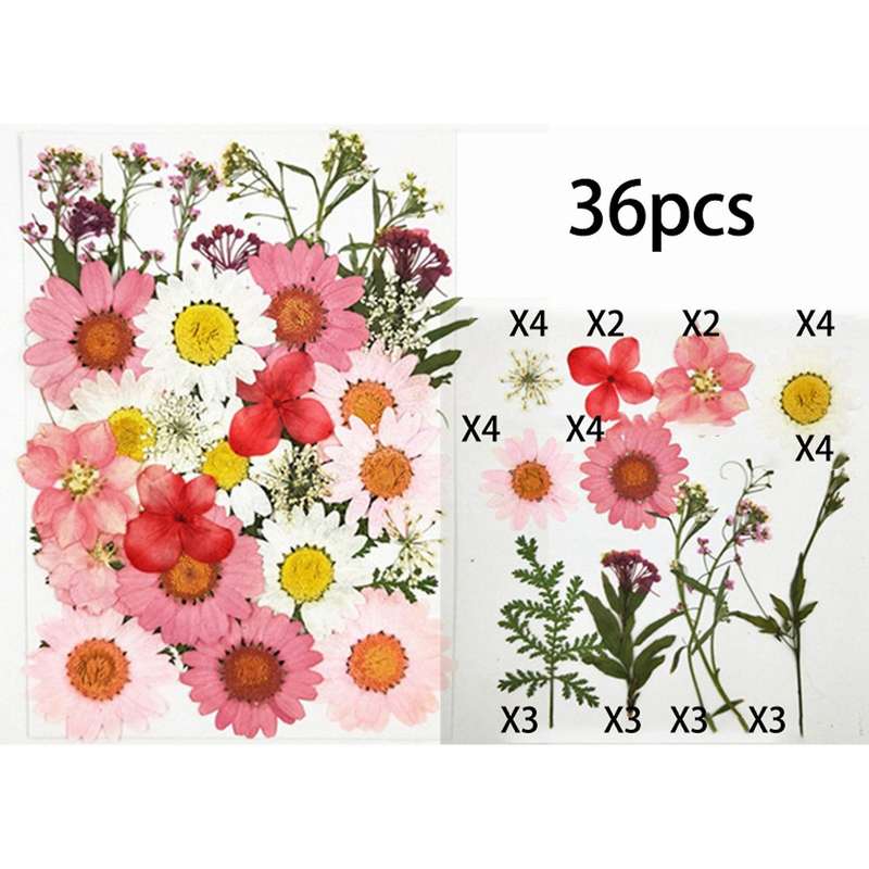 36 Pcs Dried Flowers for Diy Candle Resin Jewelry Art Decor-pink