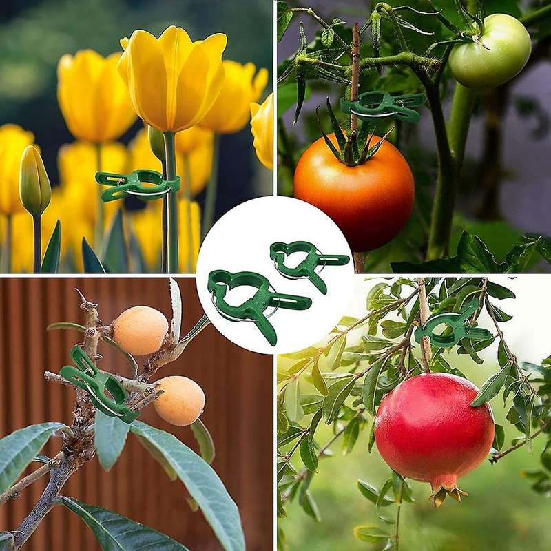 Plant Clips Climbing Plants Attachment for Young Plant, Flower Stem