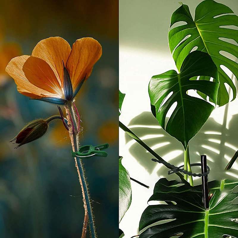 Plant Clips Climbing Plants Attachment for Young Plant, Flower Stem
