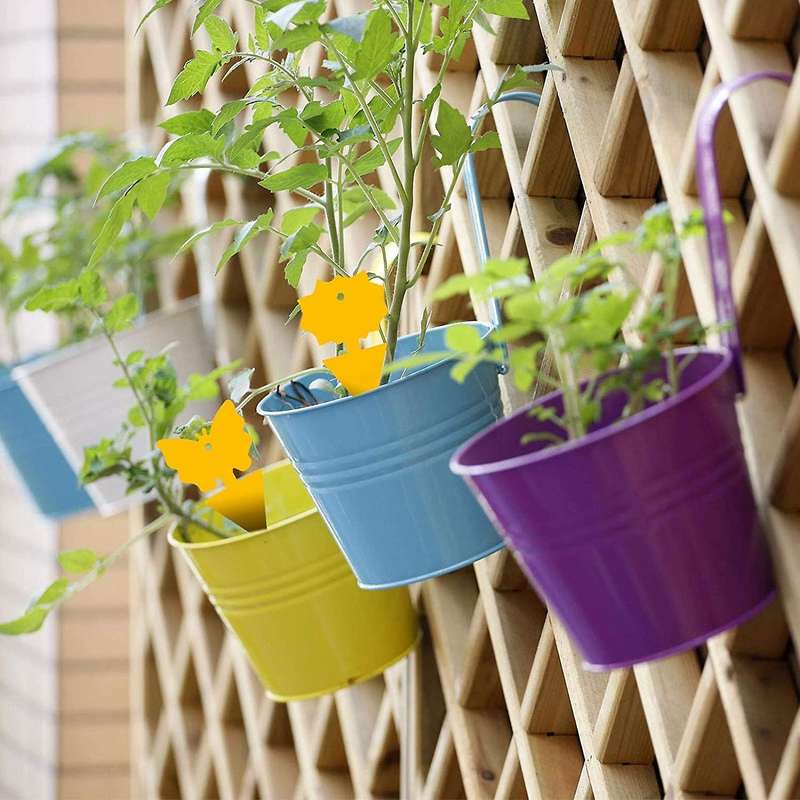 96pcs Fruit Fly Sticky Traps, for Indoor &outdoor,protect The Plant