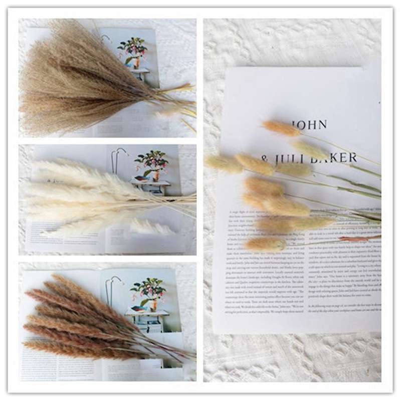Dried Reed Small Pampas Flowers Artificial Banquet Decoration