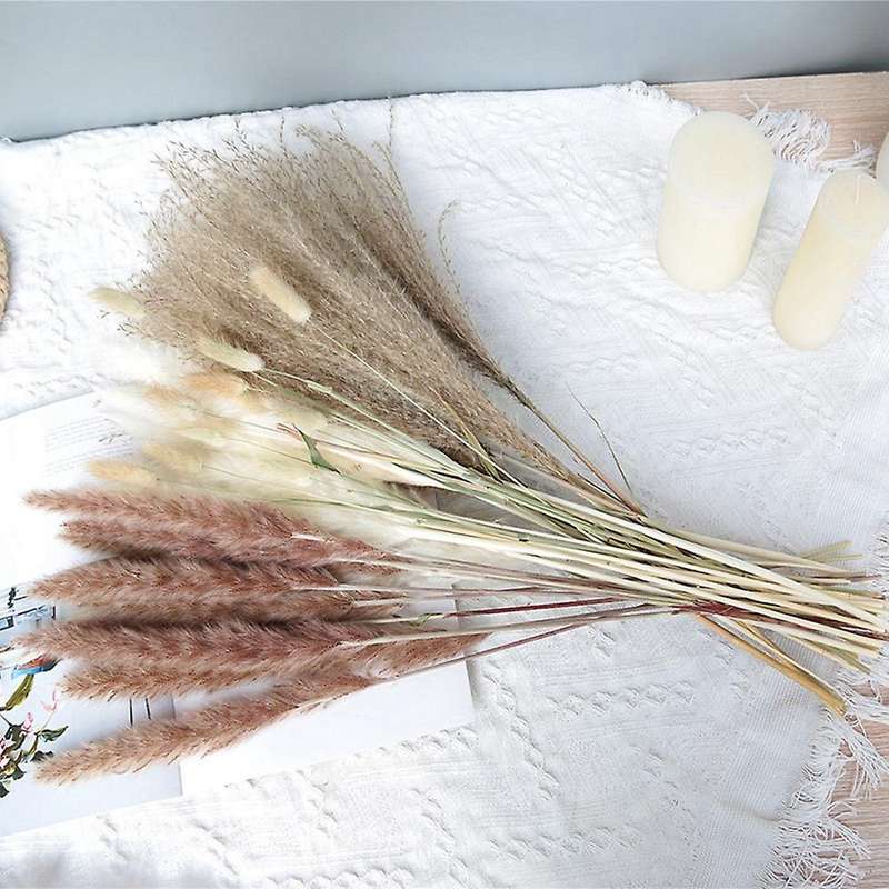 Dried Reed Small Pampas Flowers Artificial Banquet Decoration