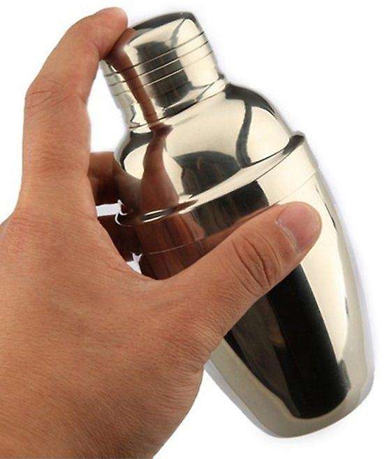 Stainless Steel Cocktail Bartender Shaker Drink Mixer Bar Set Kit - 750ml