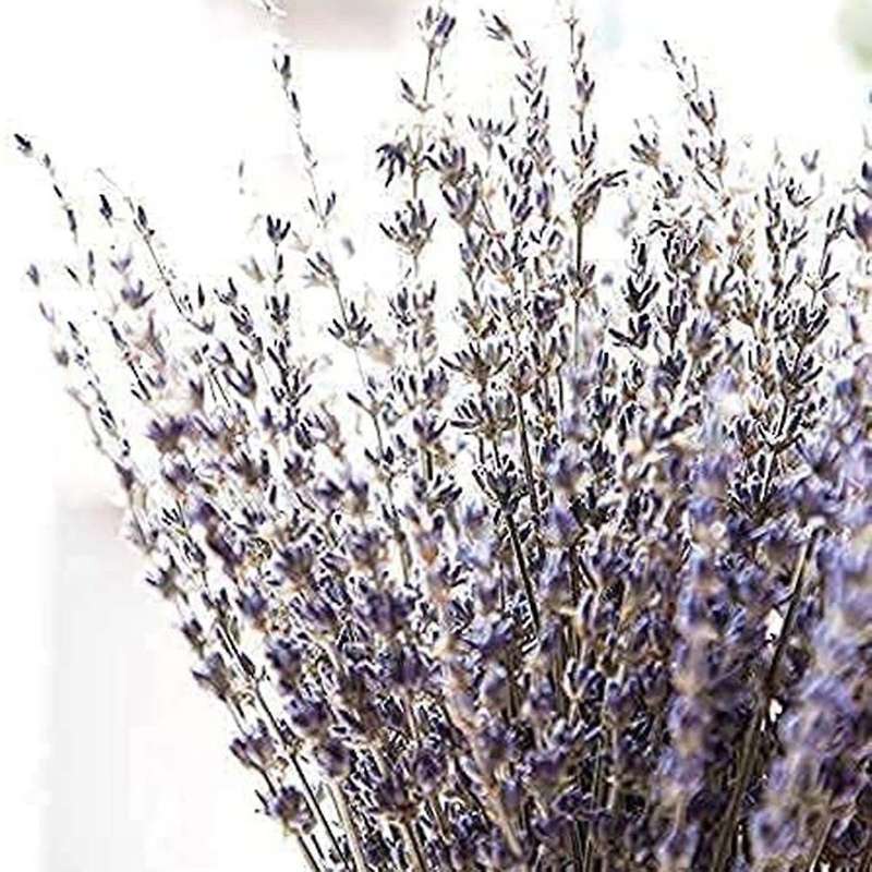 Dried Lavender Bundles for Home Decoration,photo Props,2 Bundles Pack
